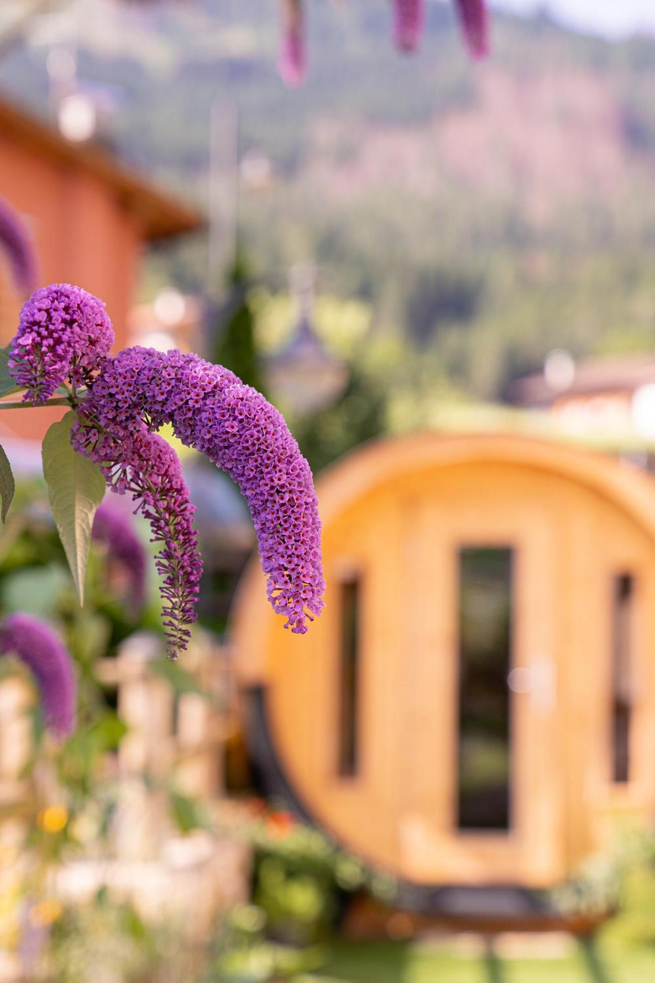 Albergo Negritella Ziano di Fiemme Esterno foto